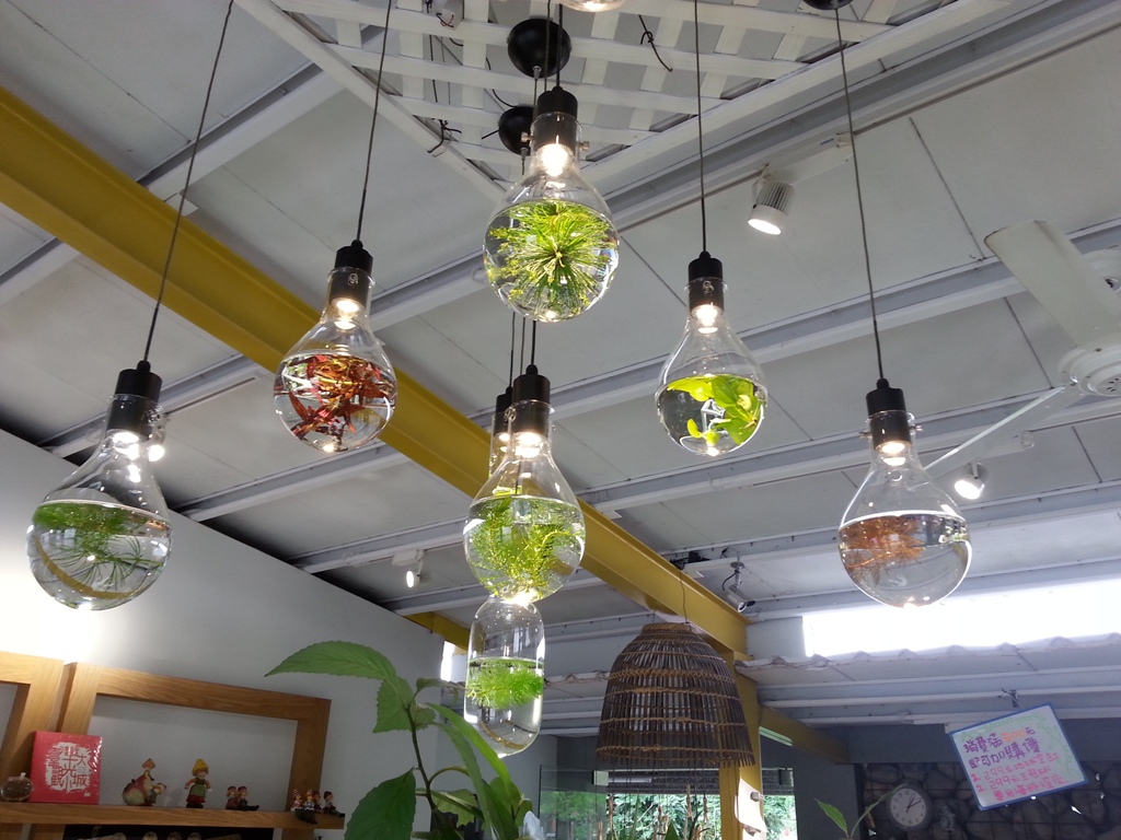 勝洋休閒農場水草DIY燈飾