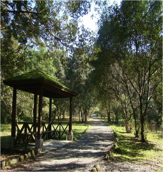 福山植物園自然中心樹木展示區樟櫟天地 