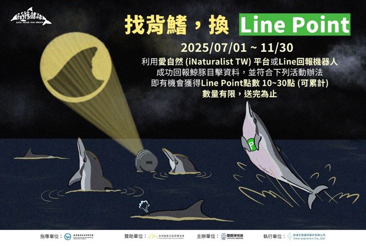 賞鯨新面向：不只欣賞還要守護